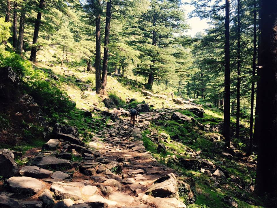 Photo of My first solo trip to McLeodganj and Triund 54/55 by Heemang Parmar