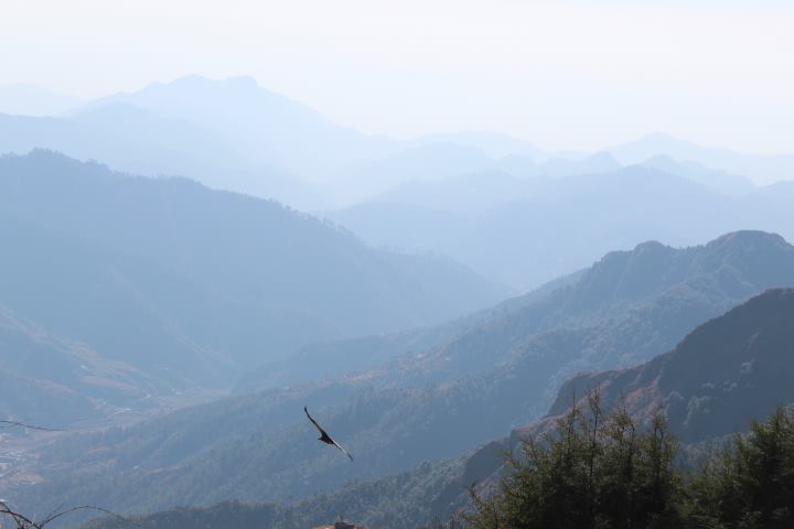 Photo of Kanatal, Kaudia Range, Uttarakhand, India by Tarun Jain