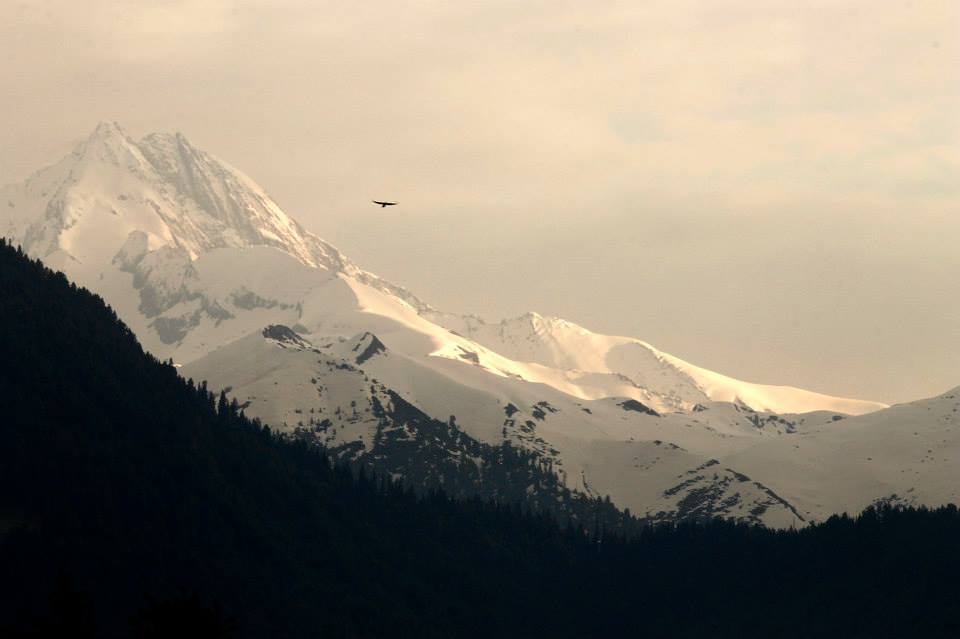 Photo of Charismatic Kashmir 16/71 by Soumya Khurana