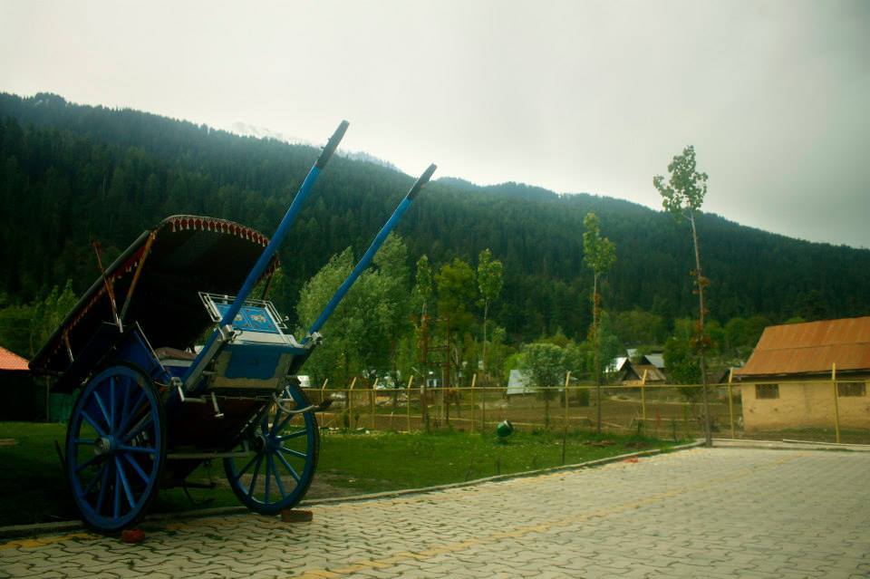 Photo of Charismatic Kashmir 41/71 by Soumya Khurana