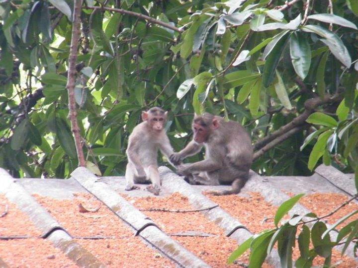 Photo of Backpacking in Kankeshwar 13/14 by Jay Bhansali