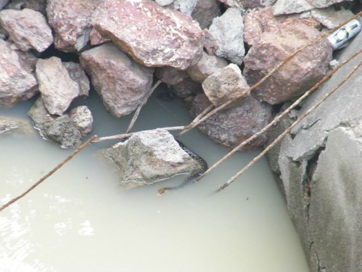 Photo of Backpacking in Kankeshwar 4/14 by Jay Bhansali