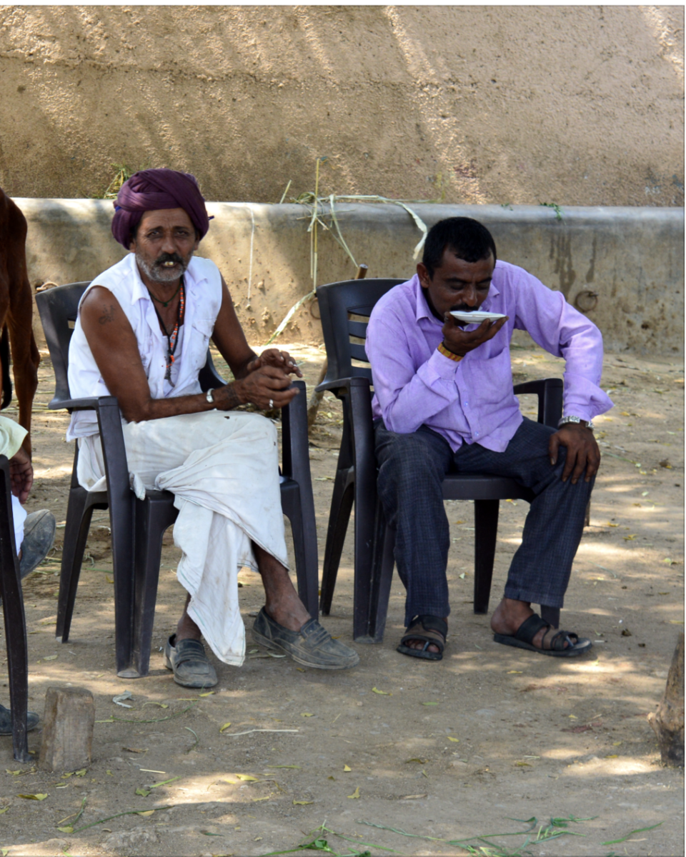 Photo of Postcards from West - A roadtrip from Pune to Udaipur 4/7 by The Window Seat