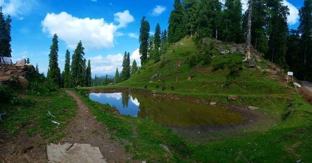 Photo of Hatu peak, Narkanda Sungri Road, Baghi, Himachal Pradesh, India by hintsforhappyliving