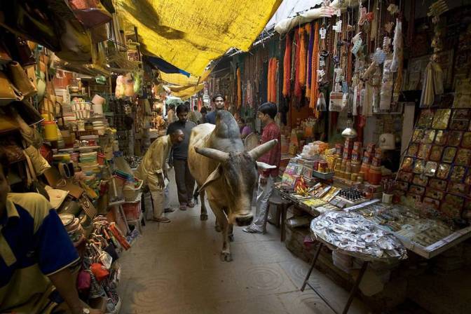 Photo of Varanasi - spiritual capital (Heaven on earth) 5/7 by Sudarshan R