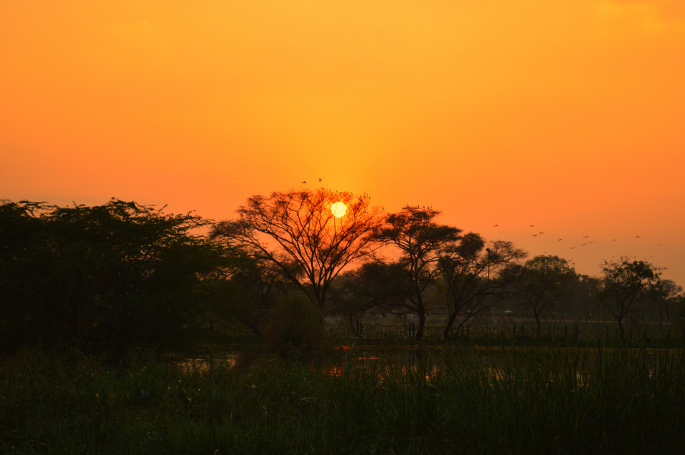 Photo of When I trespassed on the grounds of Salim Ali Lake of Aurangabad! 3/4 by Amol Mishra