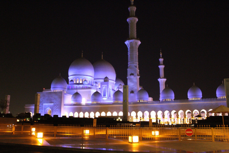 Photo of SHEIK ZAYED GRAND MOSQUE 2/23 by Ankit Upadhyay