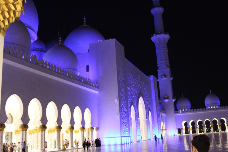 Photo of SHEIK ZAYED GRAND MOSQUE 5/23 by Ankit Upadhyay