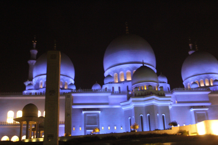 Photo of SHEIK ZAYED GRAND MOSQUE 16/23 by Ankit Upadhyay