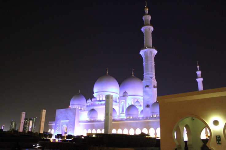 Photo of SHEIK ZAYED GRAND MOSQUE 17/23 by Ankit Upadhyay