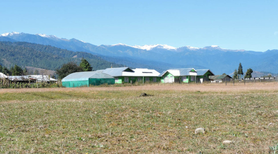 Photo of Road trip to Mechuka Village, Arunachal Pradesh 12/30 by Jitendra Kumar Sarmah