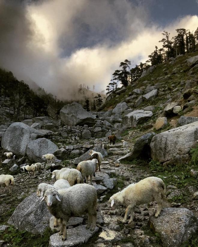 Photo of KARERI LAKE......A HIKE TO REMEMBER!! 7/16 by Akanksha Siwach. Tales of The Hidden Trails