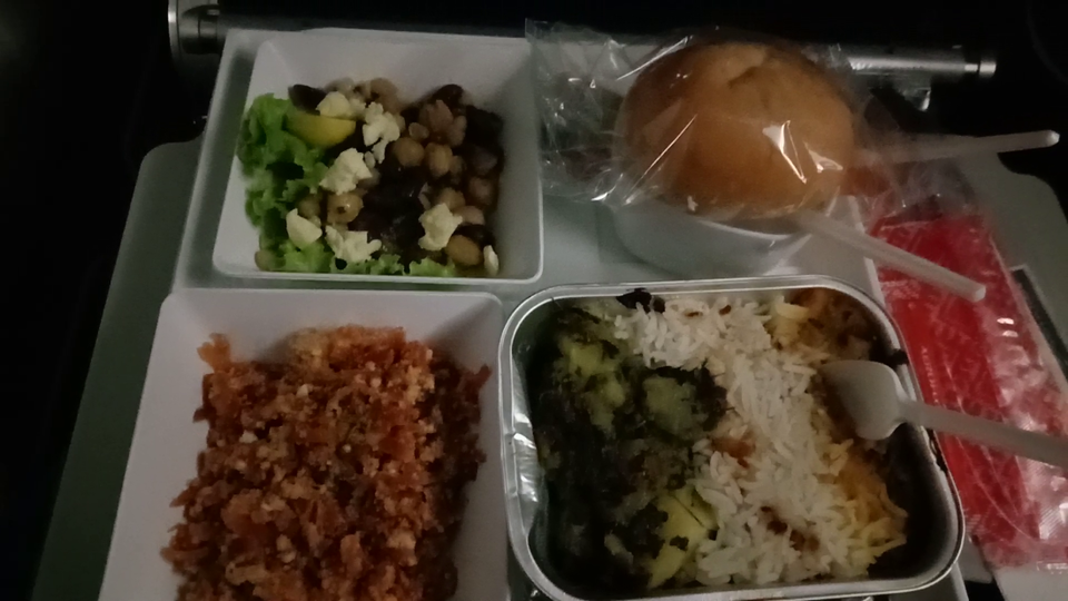 Photo of Aeroflot Flight Review Delhi to Madrid! #Flightreview 1/1 by Priyanka Bhuyan
