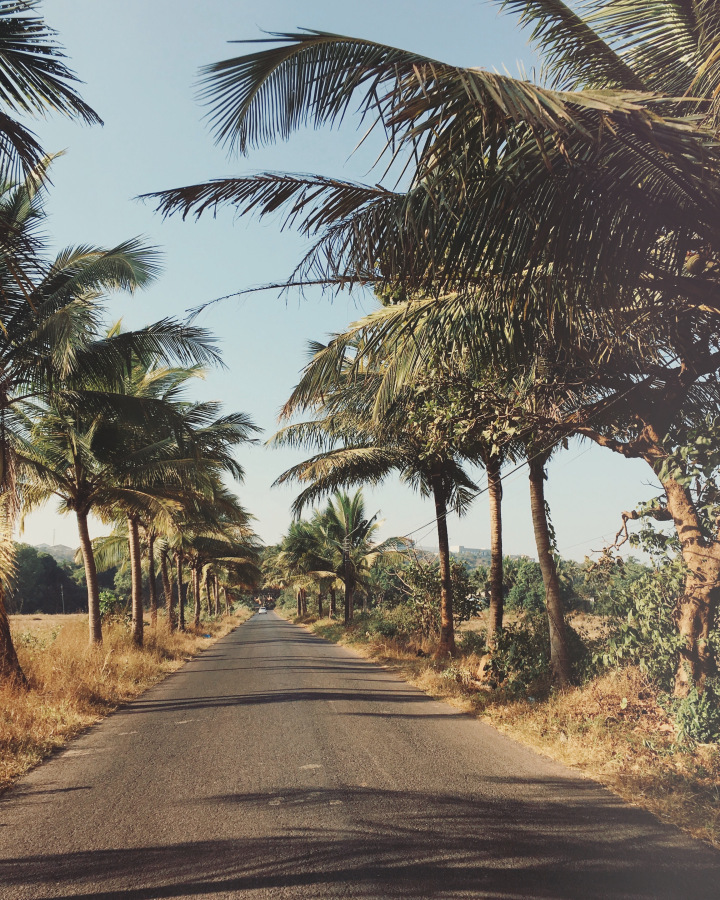 Photo of GOA - the mysterious and unique coastland of India. 1/96 by Shweta Lakhwani