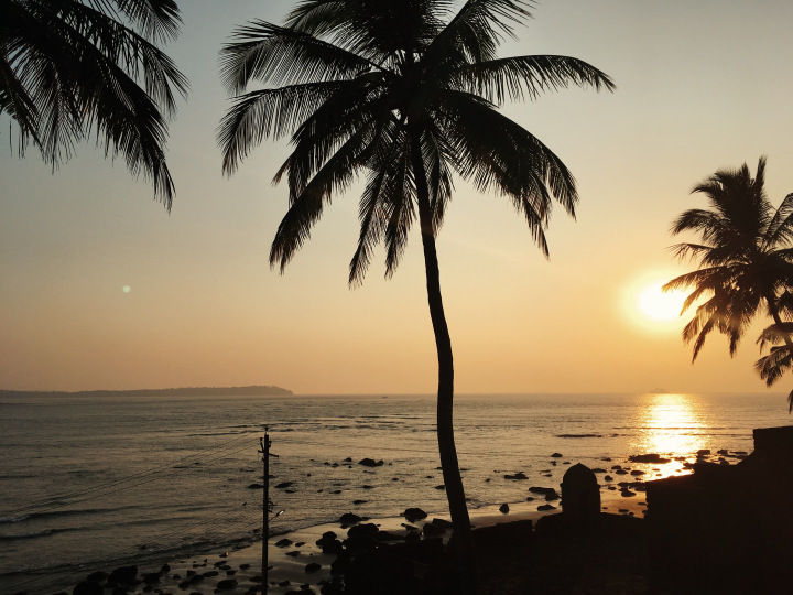 Photo of GOA - the mysterious and unique coastland of India. 18/96 by Shweta Lakhwani