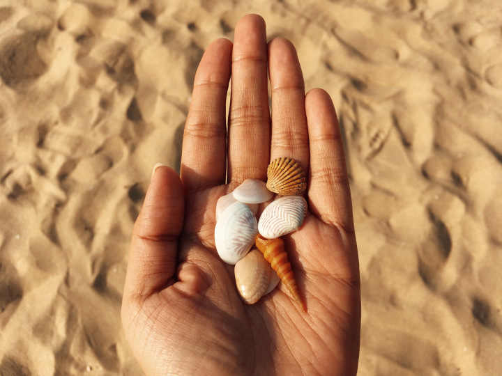 Photo of GOA - the mysterious and unique coastland of India. 30/96 by Shweta Lakhwani