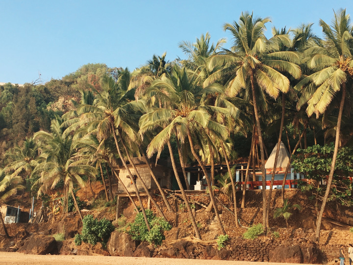 Photo of GOA - the mysterious and unique coastland of India. 31/96 by Shweta Lakhwani