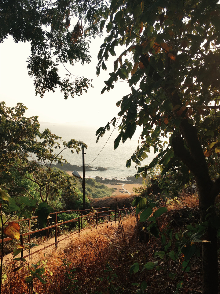 Photo of GOA - the mysterious and unique coastland of India. 32/96 by Shweta Lakhwani