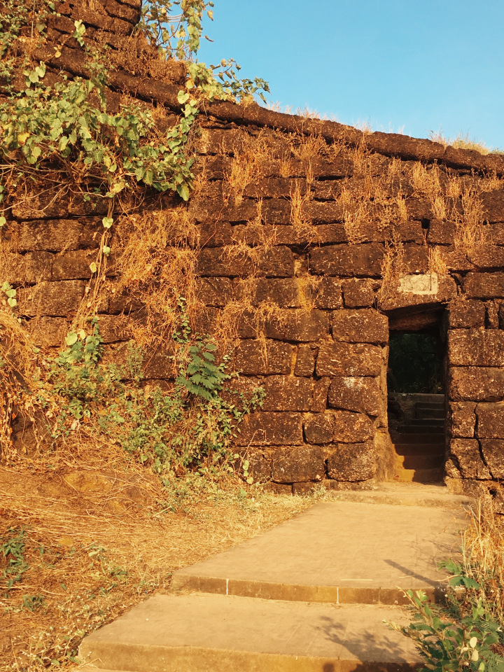 Photo of GOA - the mysterious and unique coastland of India. 34/96 by Shweta Lakhwani