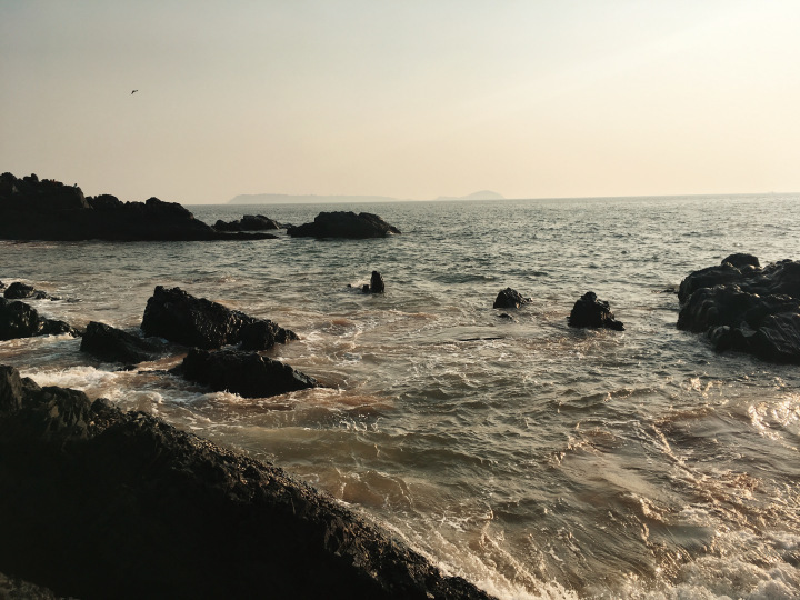 Photo of GOA - the mysterious and unique coastland of India. 37/96 by Shweta Lakhwani