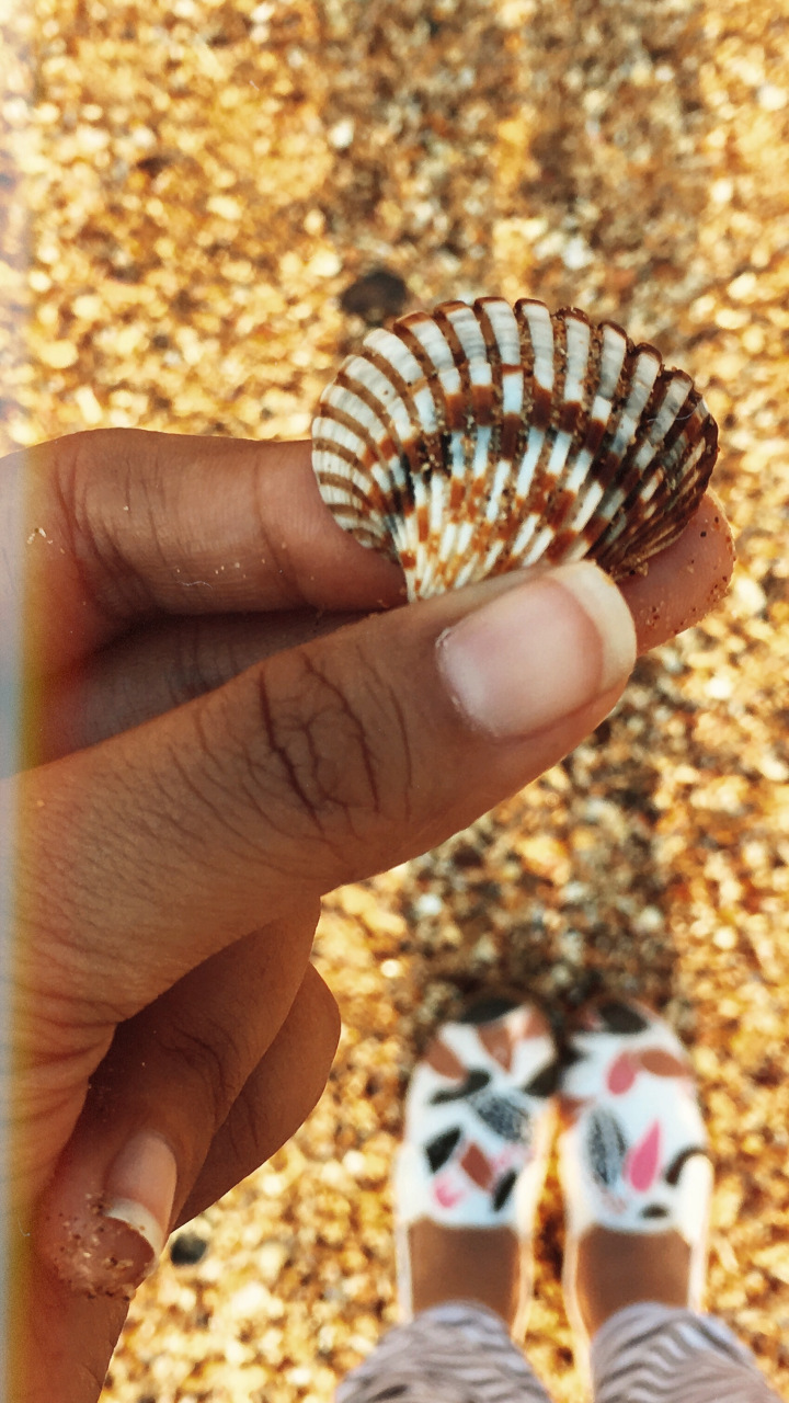 Photo of GOA - the mysterious and unique coastland of India. 39/96 by Shweta Lakhwani