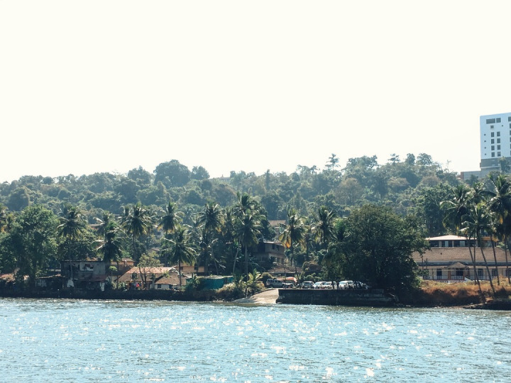 Photo of GOA - the mysterious and unique coastland of India. 44/96 by Shweta Lakhwani
