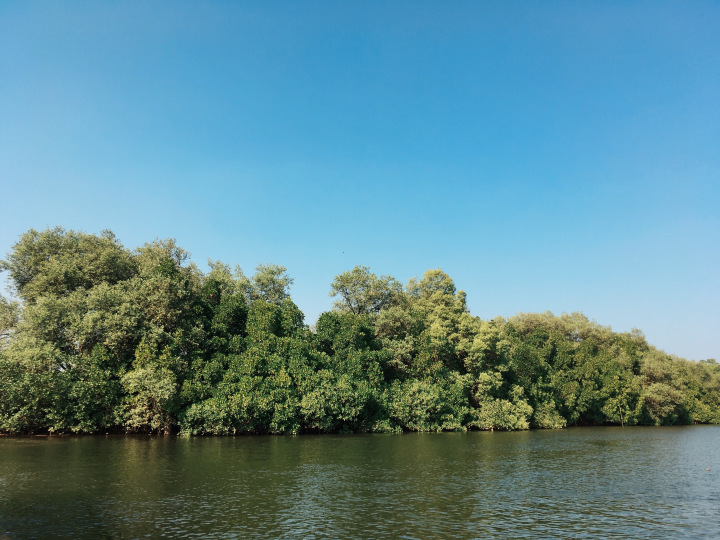 Photo of GOA - the mysterious and unique coastland of India. 45/96 by Shweta Lakhwani