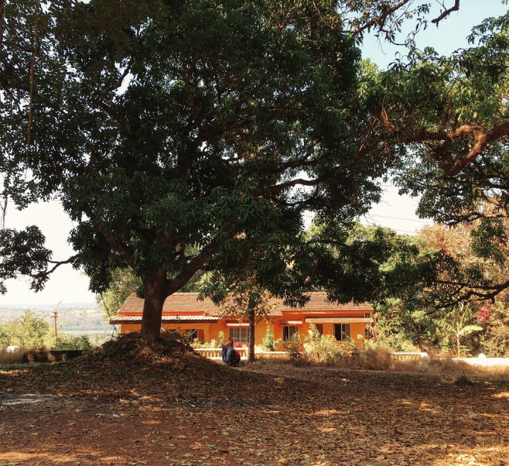 Photo of GOA - the mysterious and unique coastland of India. 53/96 by Shweta Lakhwani