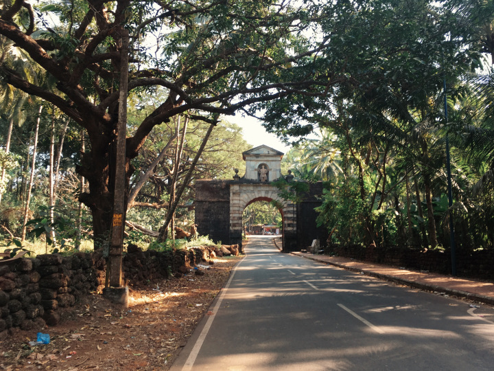 Photo of GOA - the mysterious and unique coastland of India. 66/96 by Shweta Lakhwani