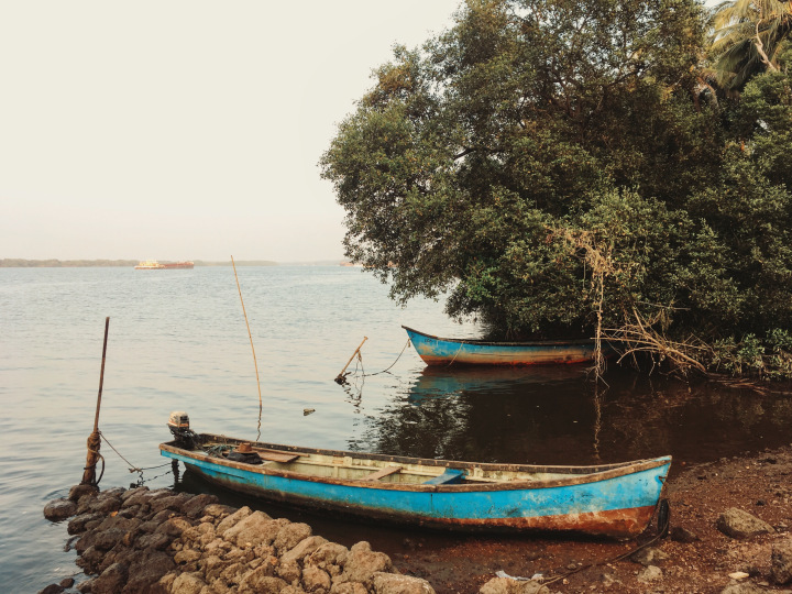 Photo of GOA - the mysterious and unique coastland of India. 76/96 by Shweta Lakhwani