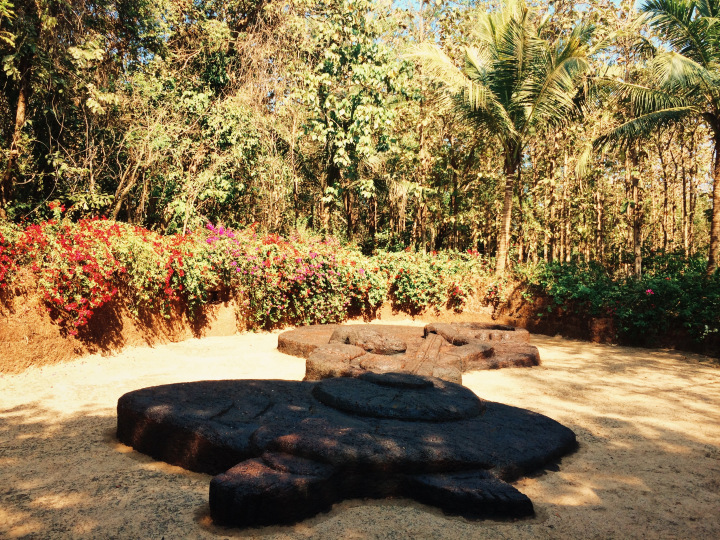 Photo of GOA - the mysterious and unique coastland of India. 81/96 by Shweta Lakhwani