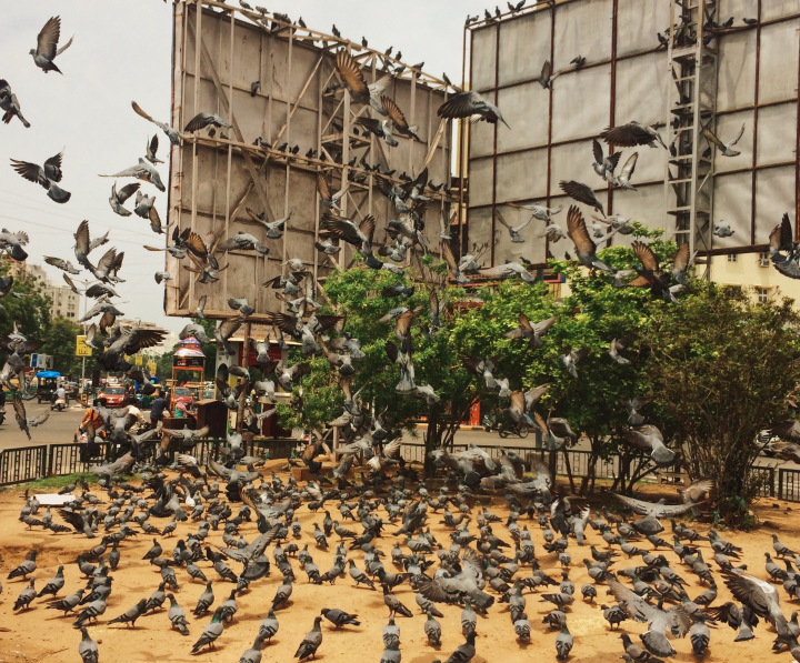 Photo of Look Ahmedabad beyond it's famous Fafda, Khaman and Dhokla - PART II 20/20 by Shweta Lakhwani