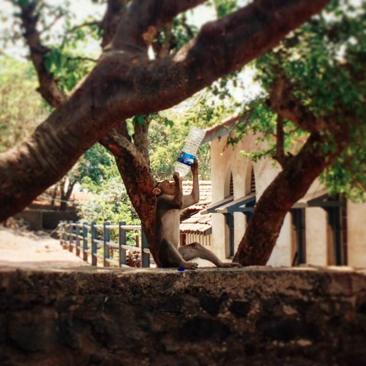 Photo of Treasure island hopping to explore Elephanta Caves. 7/11 by Shweta Lakhwani