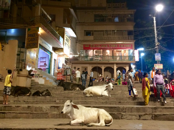 Photo of Varanasi - City of Moksha 26/29 by Shweta Lakhwani