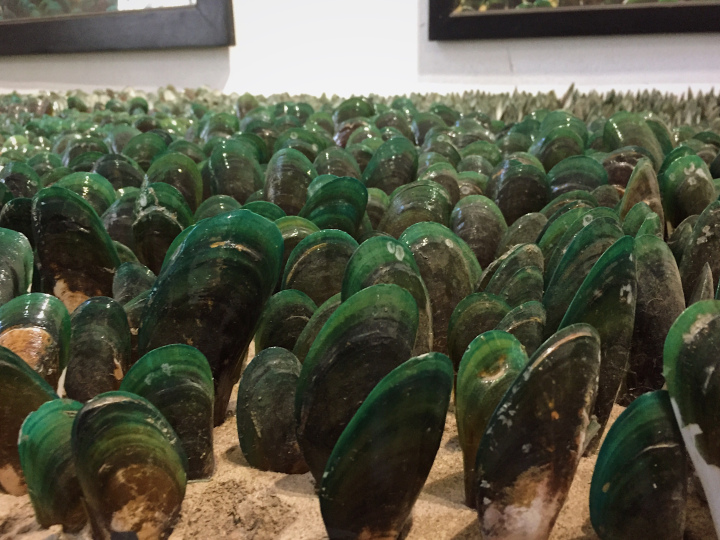 Photo of Museum of Goa (MOG) - Harmony in the middle of chaos 6/92 by Shweta Lakhwani