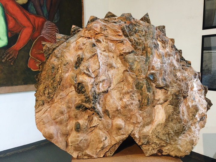 Photo of Museum of Goa (MOG) - Harmony in the middle of chaos 9/92 by Shweta Lakhwani
