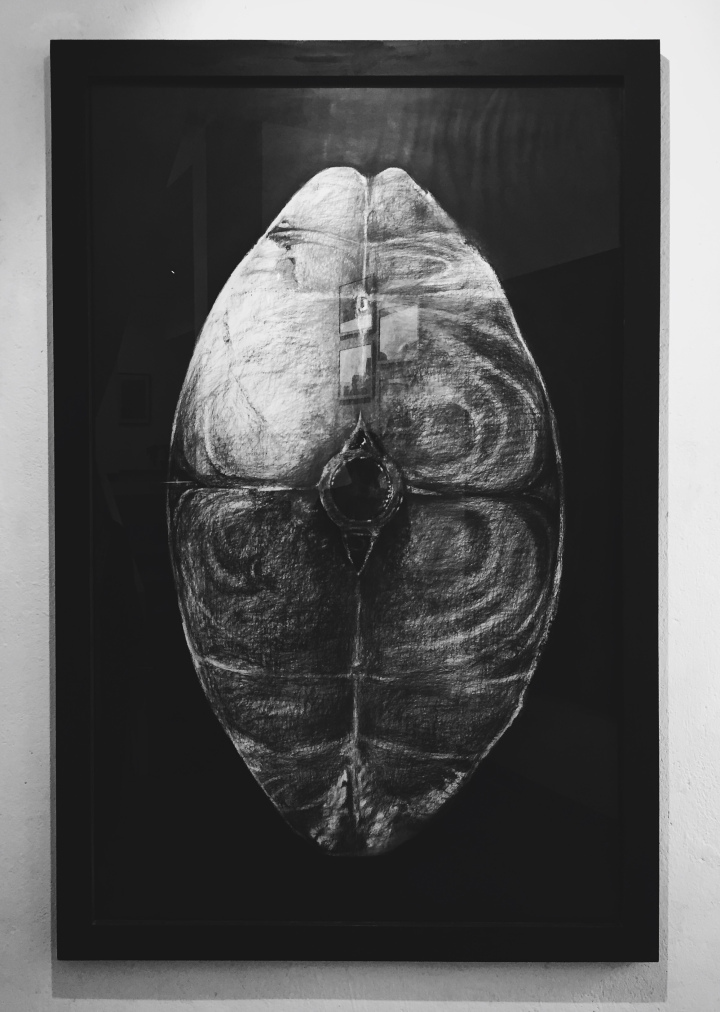 Photo of Museum of Goa (MOG) - Harmony in the middle of chaos 17/92 by Shweta Lakhwani