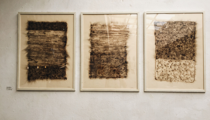 Photo of Museum of Goa (MOG) - Harmony in the middle of chaos 45/92 by Shweta Lakhwani