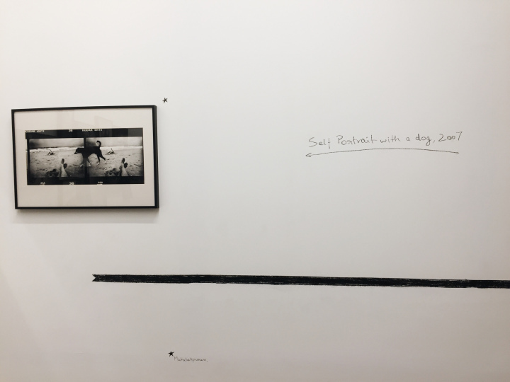 Photo of Serendipity Arts Festival, Goa - Dec 2018 26/75 by Shweta Lakhwani
