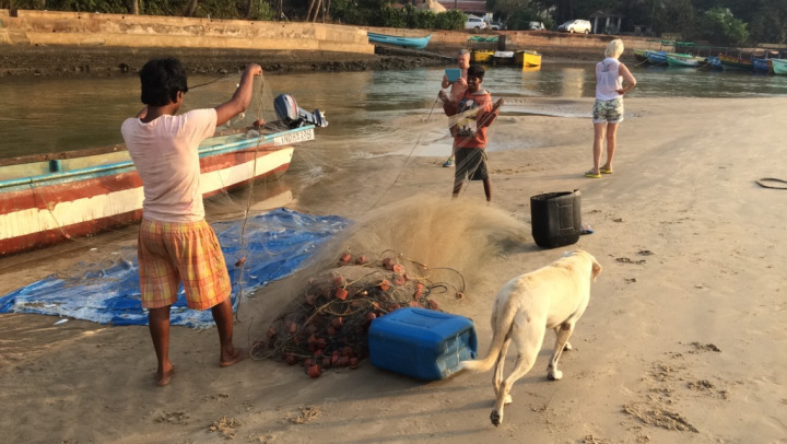 Photo of 13 Interesting Things About Goa You Should Learn Before Traveling. 11/17 by Shweta Lakhwani