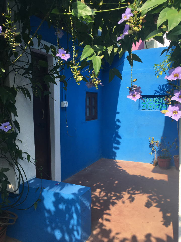 Photo of 13 Interesting Things About Goa You Should Learn Before Traveling. 12/17 by Shweta Lakhwani