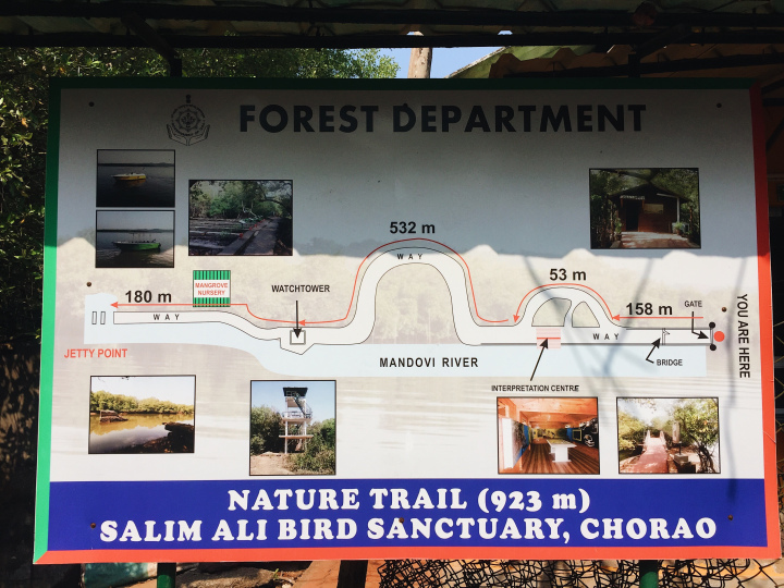Photo of Day Trip to Chorão Island-Goa. Visited Dr. Salim Ali Bird Sanctuary and found an inhabitant mystery 5/25 by Shweta Lakhwani