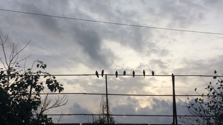 Photo of Bandra - Sweet Little Haven of Mumbai 12/12 by Shweta Lakhwani