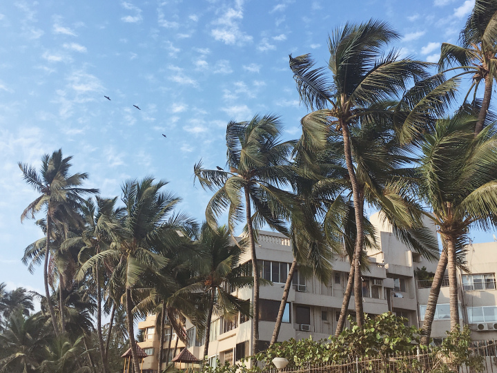 Photo of An evening stroll along the Juhu Beach 1/15 by Shweta Lakhwani