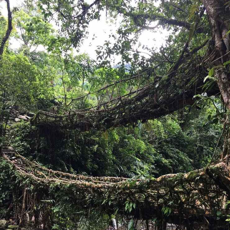 Photo of Mesmerizing Meghalaya #northeastphotos 3/8 by NavigatioGirls