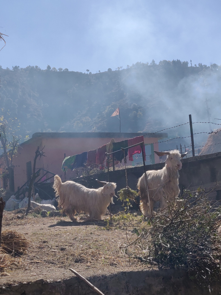 Photo of Nag Tibba Trek 1/17 by NavigatioGirls