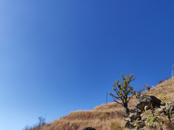 Photo of Nag Tibba Trek 3/17 by NavigatioGirls