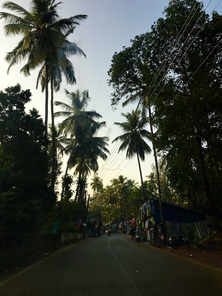Photo of Goa: Heaven to Hip-Parties and Beautiful beaches! 29/30 by Aditi Mutyapwar