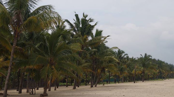 Photo of Land of peace and rejuvenation – Kerala 8/8 by Kalyani Gajarla