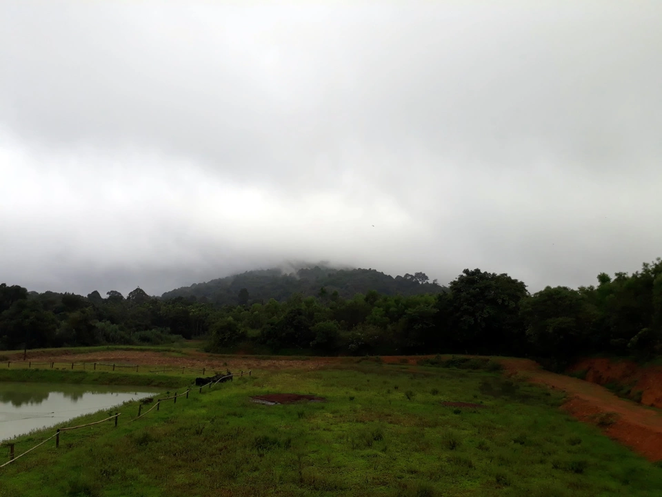 Photo of Agumbe, Karnataka, India by Butterfly Travel Treats